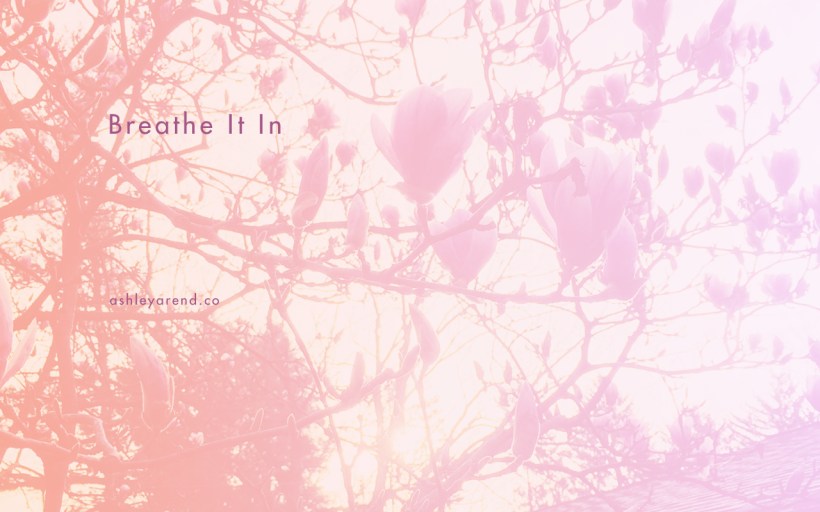 ashley_blog-breatheitin