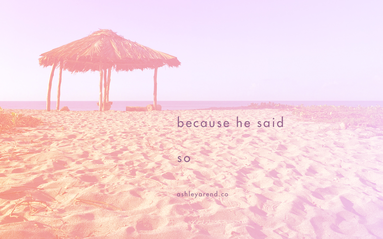 ashley_blog-because-he-said-so